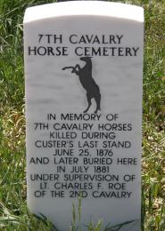Remembering the gallant horse!